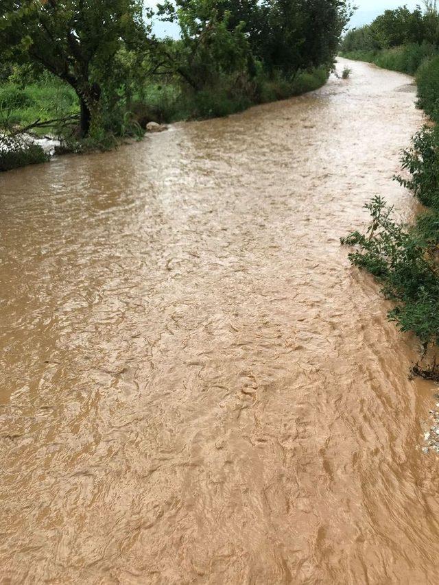 Ödemiş'te yağmur ve dolu tarım arazilerini vurdu