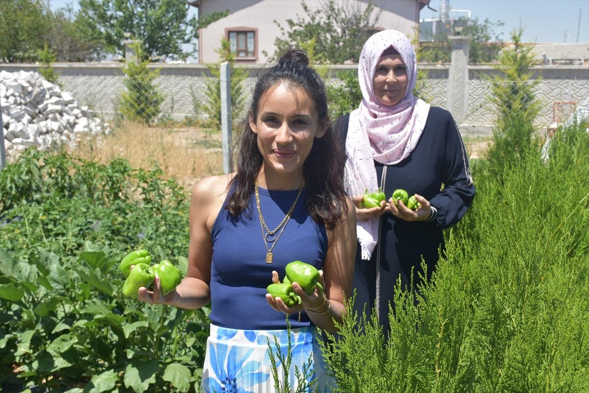 Bu otel bedava, yeme içme de ücretsiz: Tek bir şey istiyorlar 5