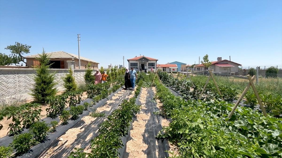 Bu otel bedava, yeme içme de ücretsiz: Tek bir şey istiyorlar 7