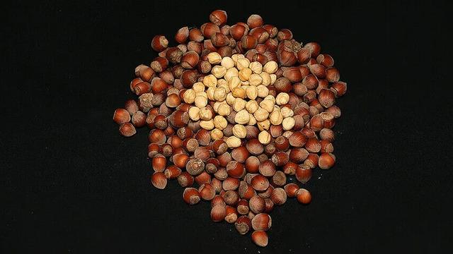 11 ayda 2,4 milyar dolar gelir! 186 bin 400 ton satıldı