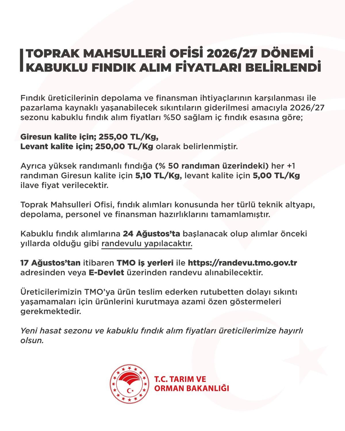 Son dakika | Fındık alım fiyatı merak ediliyordu! TMO yeni rakamları duyurdu 2