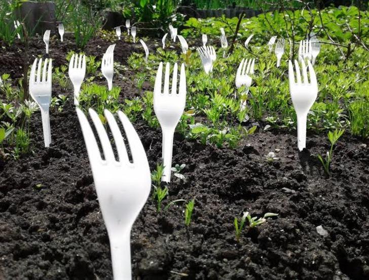 Tek kullanımlık plastik &ccedil;atalın doğada yok olması yaklaşık ne kadar s&uuml;rer?