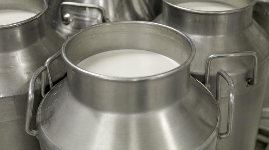 Neden çiğ süt içmemelisiniz?