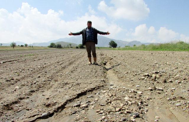 Afyonkarahisar'da dolu ve yağmur patates tarlalarına zarar verdi