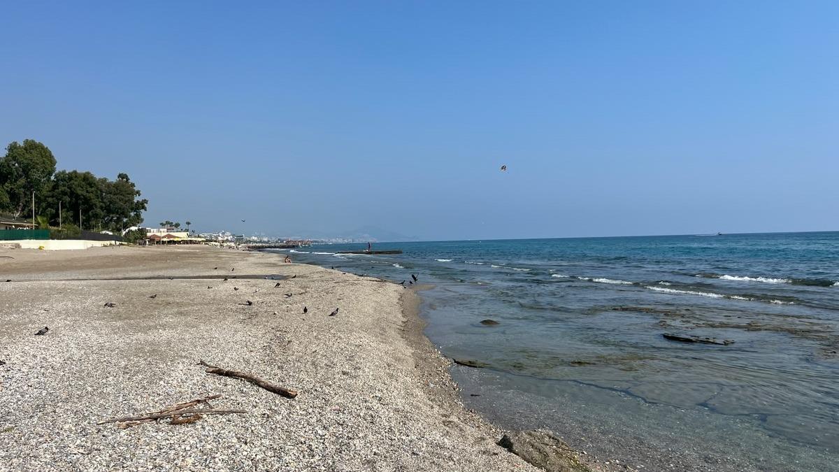 T&uuml;rkiye nin g&uuml;ney sahillerini tehdit ediyor! Saatte milyarlarcası Akdeniz e ulaşıyor: "Fethiye ye kadar geldi" 1