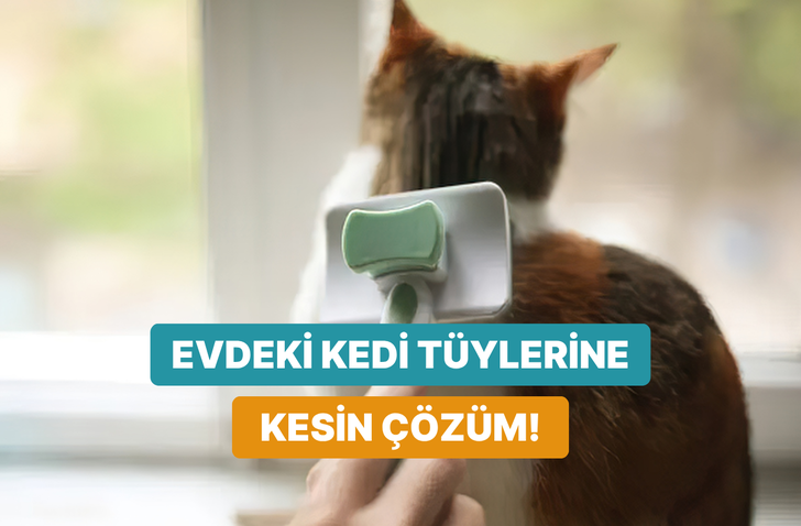 Kedi t&uuml;ylerini en hızlı şekilde temizlemeyi sağlayacak 8 &ouml;neri