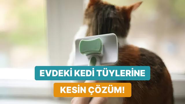Kedi tüylerini en hızlı şekilde temizlemeyi sağlayacak 8 öneri