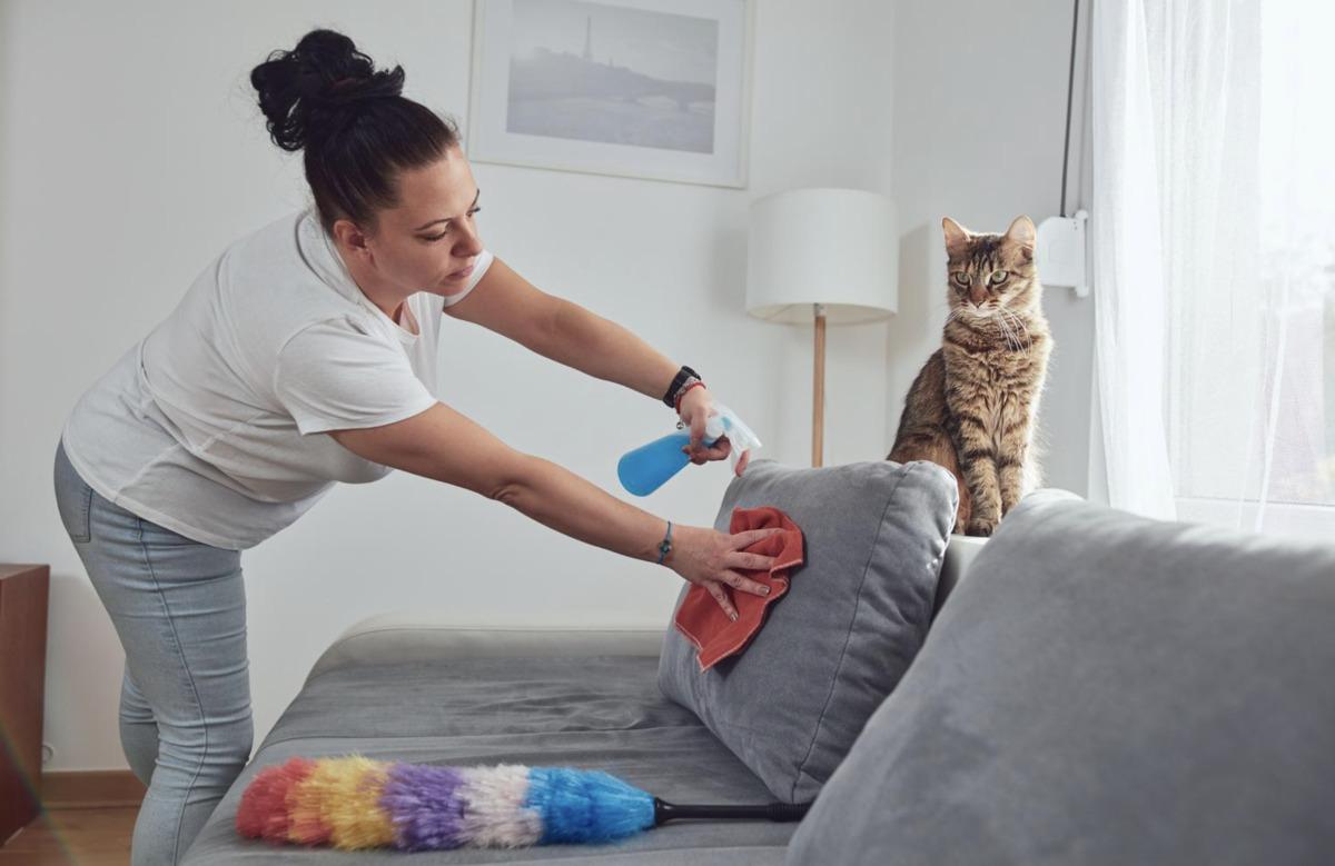 Kedi tüylerini en hızlı şekilde temizlemeyi sağlayacak 8 öneri 8