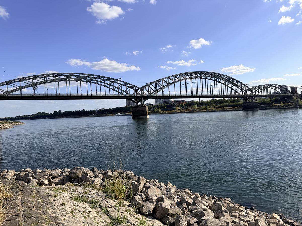 Almanya da Ren Nehri nde kuraklık alarmı 2