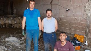 Yazın servet kazandırıyor: Genel müdür maaşını aratmıyor