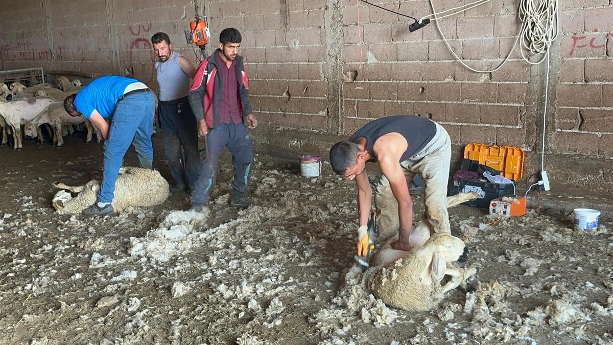 Yazın servet kazandırıyor: Genel müdür maaşını aratmıyor 4