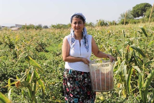 Eczanede başlayan mesaisi tarlada bitiyor 8