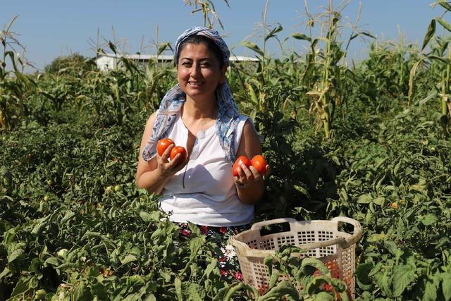 Eczanede başlayan mesaisi tarlada bitiyor 2