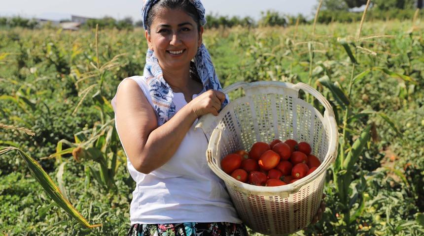 Eczanede başlayan mesaisi tarlada bitiyor