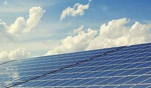 G&uuml;nl&uuml;k elektrik &uuml;retim ve t&uuml;ketim verileri