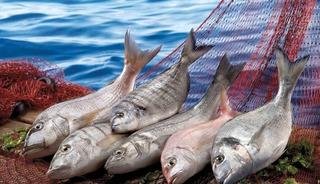 Muğla ihracatı Temmuz ayında y&uuml;zde 9 arttı