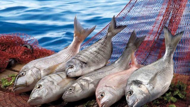 Muğla ihracatı Temmuz ayında yüzde 9 arttı