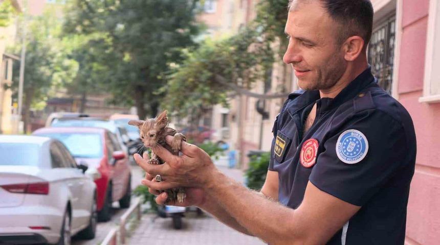 Yağmur suyu giderine sıkışan kediyi itfaiye kurtardı