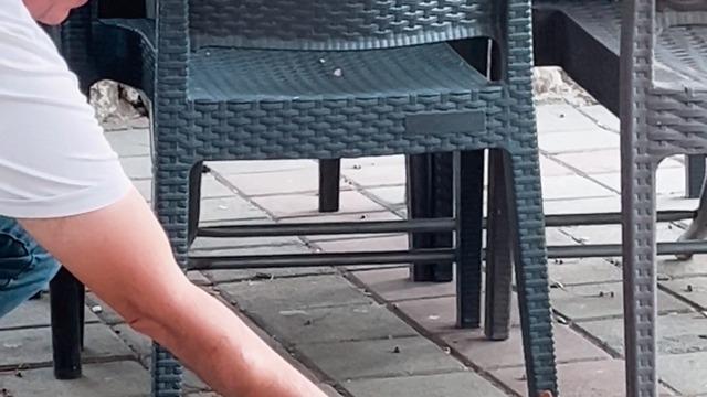 Çay bahçesinde yanına gelen sincabı çekirdekle besledi