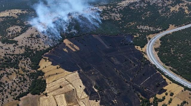 Tarlada çıkan yangın ormana sıçradı 6