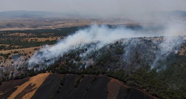 Tarlada çıkan yangın ormana sıçradı 1