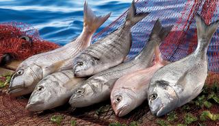 Muğla ihracatı Temmuz ayında y&uuml;zde 9 arttı