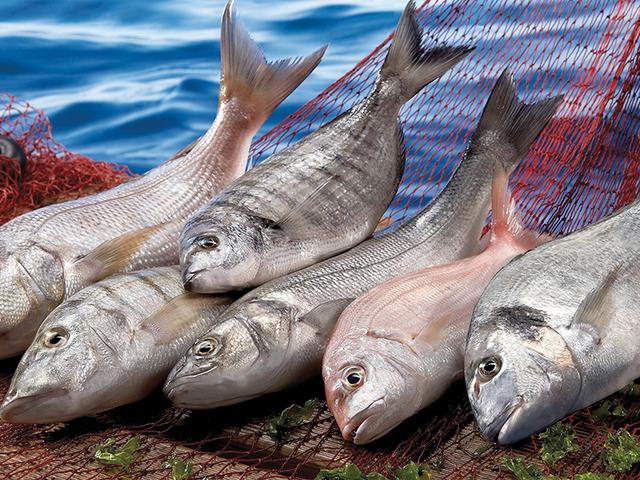 Muğla ihracatı Temmuz ayında y&uuml;zde 9 arttı