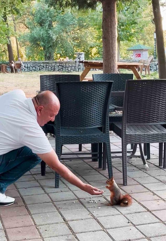 Kahvehaneye gelen sincabı elleriyle besledi 3