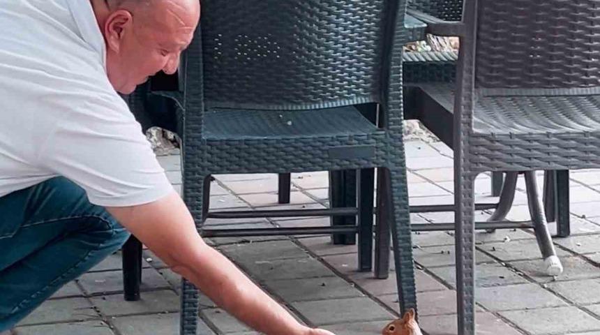 Kahvehaneye gelen sincabı elleriyle besledi