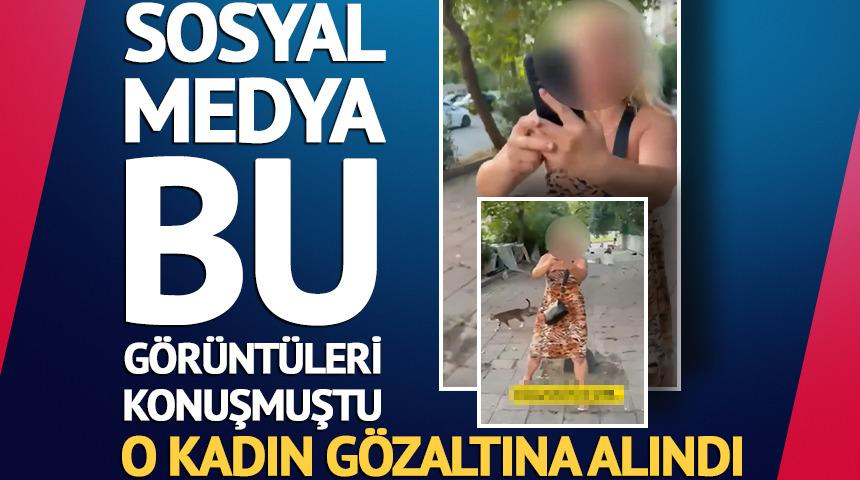 Sokak kedilerini beslemek i&ccedil;in yolu kapatan kadın g&ouml;zaltında