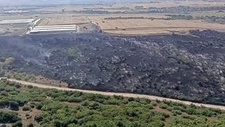 Karacabey’de makilik alandaki yangın fabrikaya ulaşmadan söndürüldü