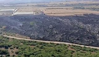 Karacabey&rsquo;de makilik alandaki yangın fabrikaya ulaşmadan s&ouml;nd&uuml;r&uuml;ld&uuml;