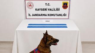 Kayseri’de jandarmadan uyuşturucu operasyonu: 1 gözaltı