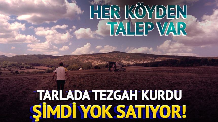 Tarlada tezgah kurdu: Şimdi yok satıyor! Her k&ouml;yden talep var