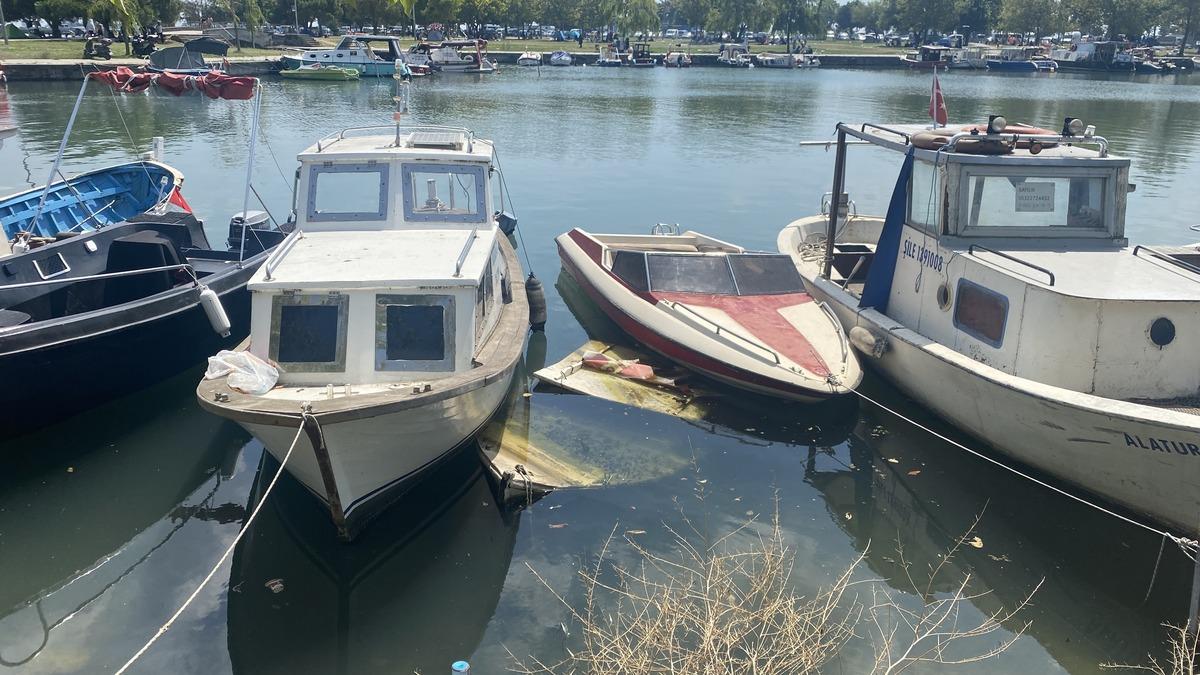 İstanbul un bir ilçesini ele geçirdiler! Su üstünde yumurtlayacaklar 2
