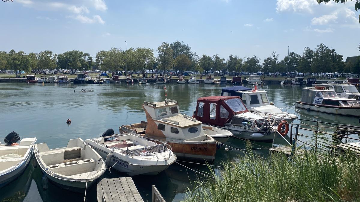 İstanbul un bir ilçesini ele geçirdiler! Su üstünde yumurtlayacaklar 3