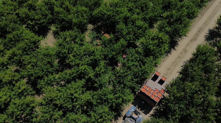 Hasadı başladı, lezzetiyle dikkat &ccedil;ekiyor: Yurt dışından talep yağıyor!