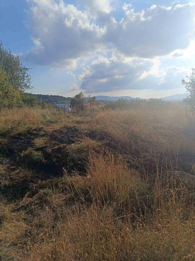 Bolu&rsquo;da anız yangını ağa&ccedil;lık alana sı&ccedil;ramadan s&ouml;nd&uuml;r&uuml;ld&uuml; 4
