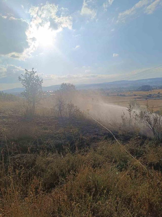 Bolu&rsquo;da anız yangını ağa&ccedil;lık alana sı&ccedil;ramadan s&ouml;nd&uuml;r&uuml;ld&uuml; 3