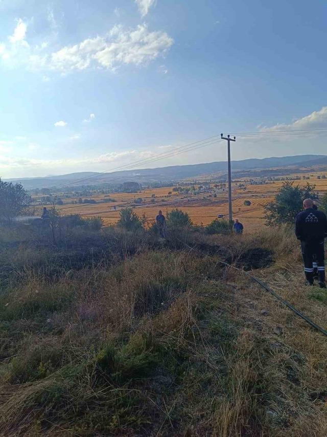 Bolu&rsquo;da anız yangını ağa&ccedil;lık alana sı&ccedil;ramadan s&ouml;nd&uuml;r&uuml;ld&uuml; 2