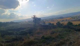 Bolu&rsquo;da anız yangını ağa&ccedil;lık alana sı&ccedil;ramadan s&ouml;nd&uuml;r&uuml;ld&uuml;