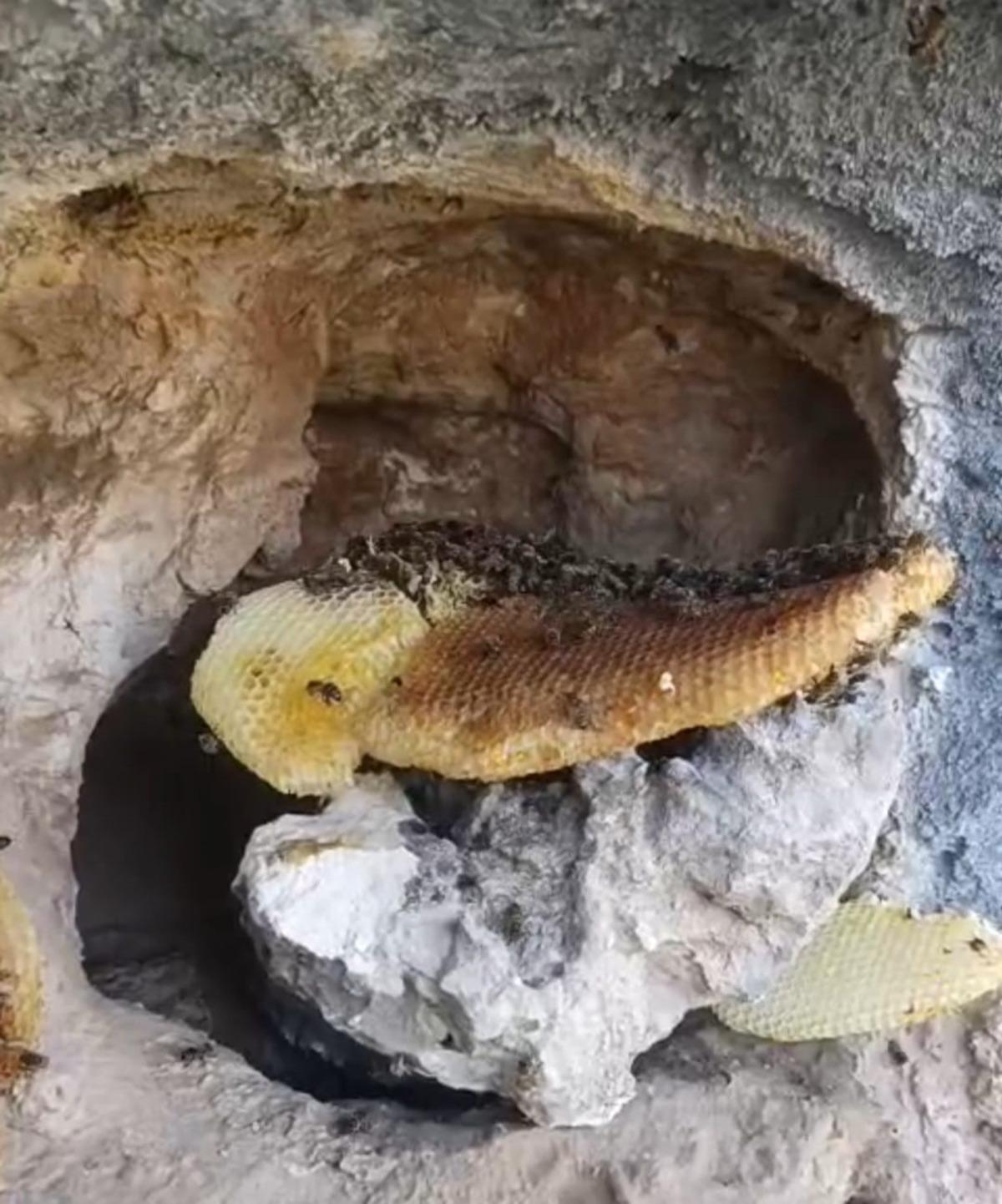 Kaya oyuğundan şifa akıyor: Resmen doğal mucize! 2