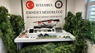 Beykoz’da uyuşturucu operasyonu: 117 kök hint keneviri ve çok sayıda silah ele geçirildi