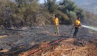 Milas Bafa&rsquo;da tarım arazisindeki yangın s&ouml;nd&uuml;r&uuml;ld&uuml;