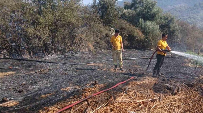 Milas Bafa&rsquo;da tarım arazisindeki yangın s&ouml;nd&uuml;r&uuml;ld&uuml;
