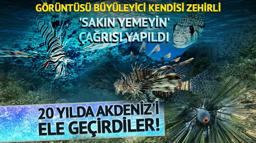 20 yılda Akdeniz'i ele ge&ccedil;irdiler! 'Sakın yemeyin' &ccedil;ağrısı yapıldı