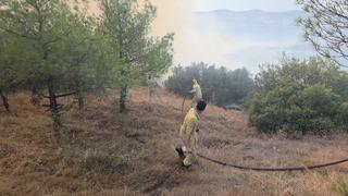 Manisa'da çıkan orman yangını kontrol altına alındı