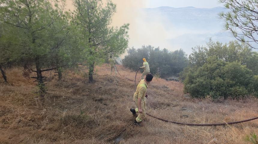 Manisa'da &ccedil;ıkan orman yangını kontrol altına alındı