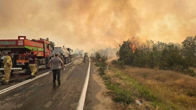 Meriç’teki orman yangını kontrol altına alındı 1