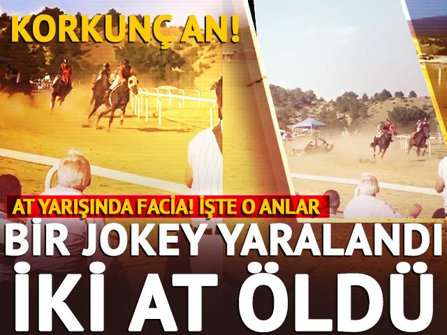 At yarışında korkun&ccedil; an! Kafa kafaya &ccedil;arpıştılar: 1 jokey yaralı 2 at &ouml;ld&uuml;